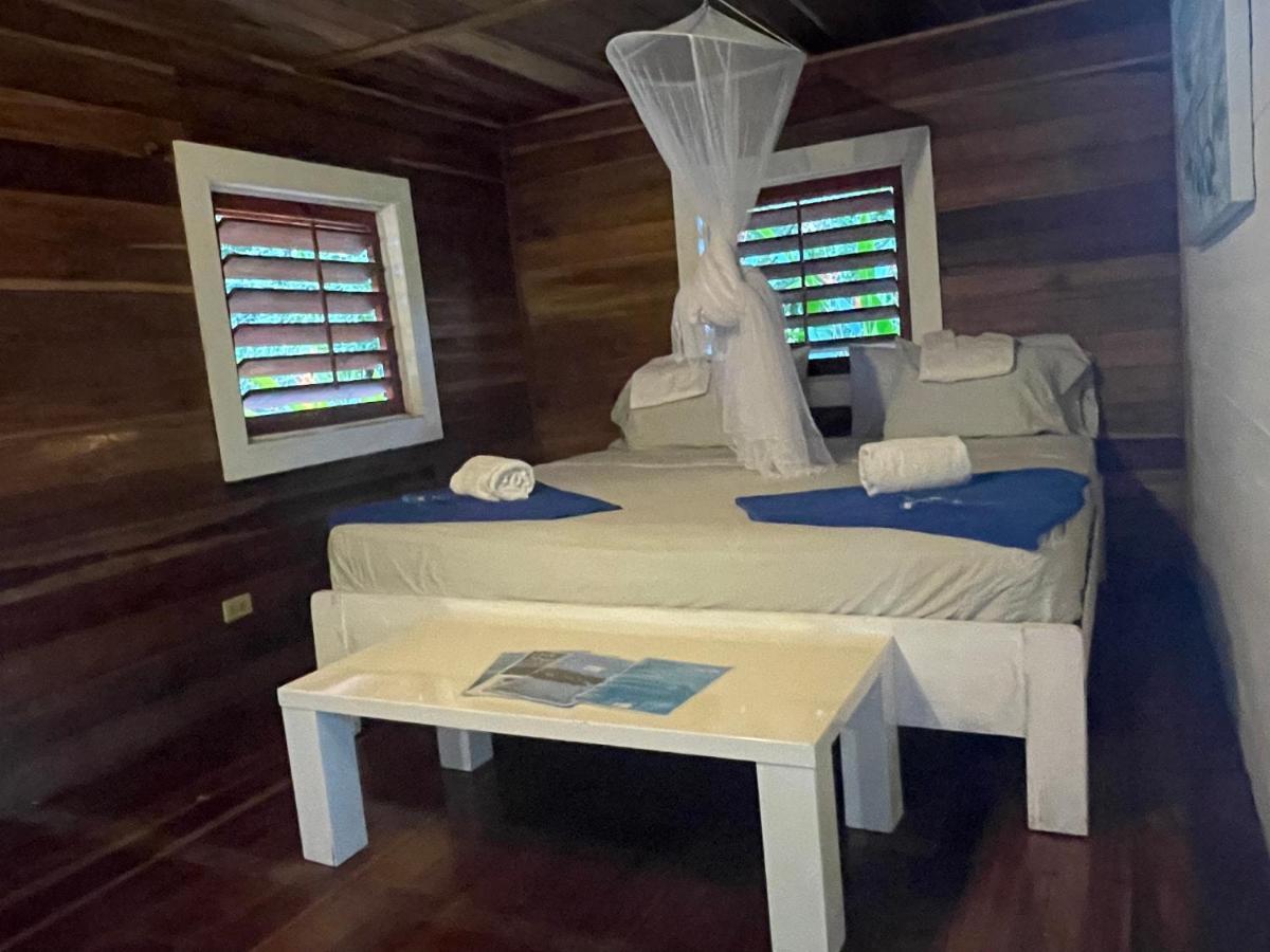 Dolphin Blue Paradise بوكاس تاون المظهر الخارجي الصورة