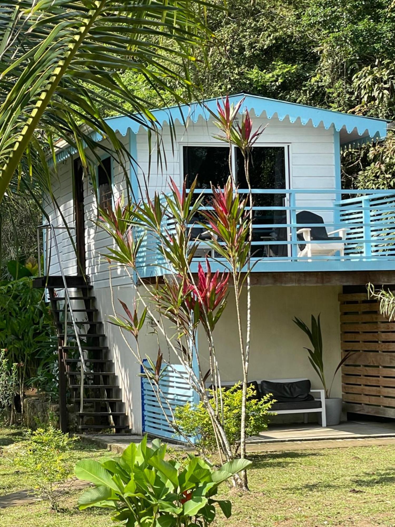 Dolphin Blue Paradise بوكاس تاون المظهر الخارجي الصورة