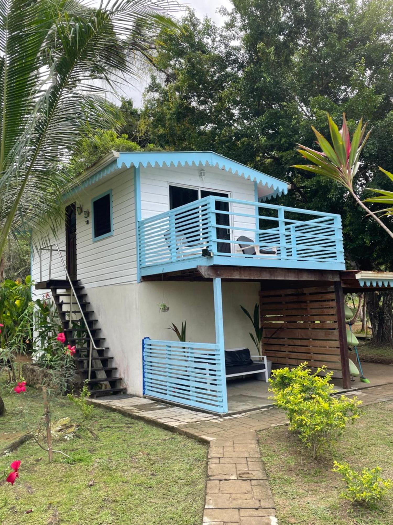 Dolphin Blue Paradise بوكاس تاون المظهر الخارجي الصورة